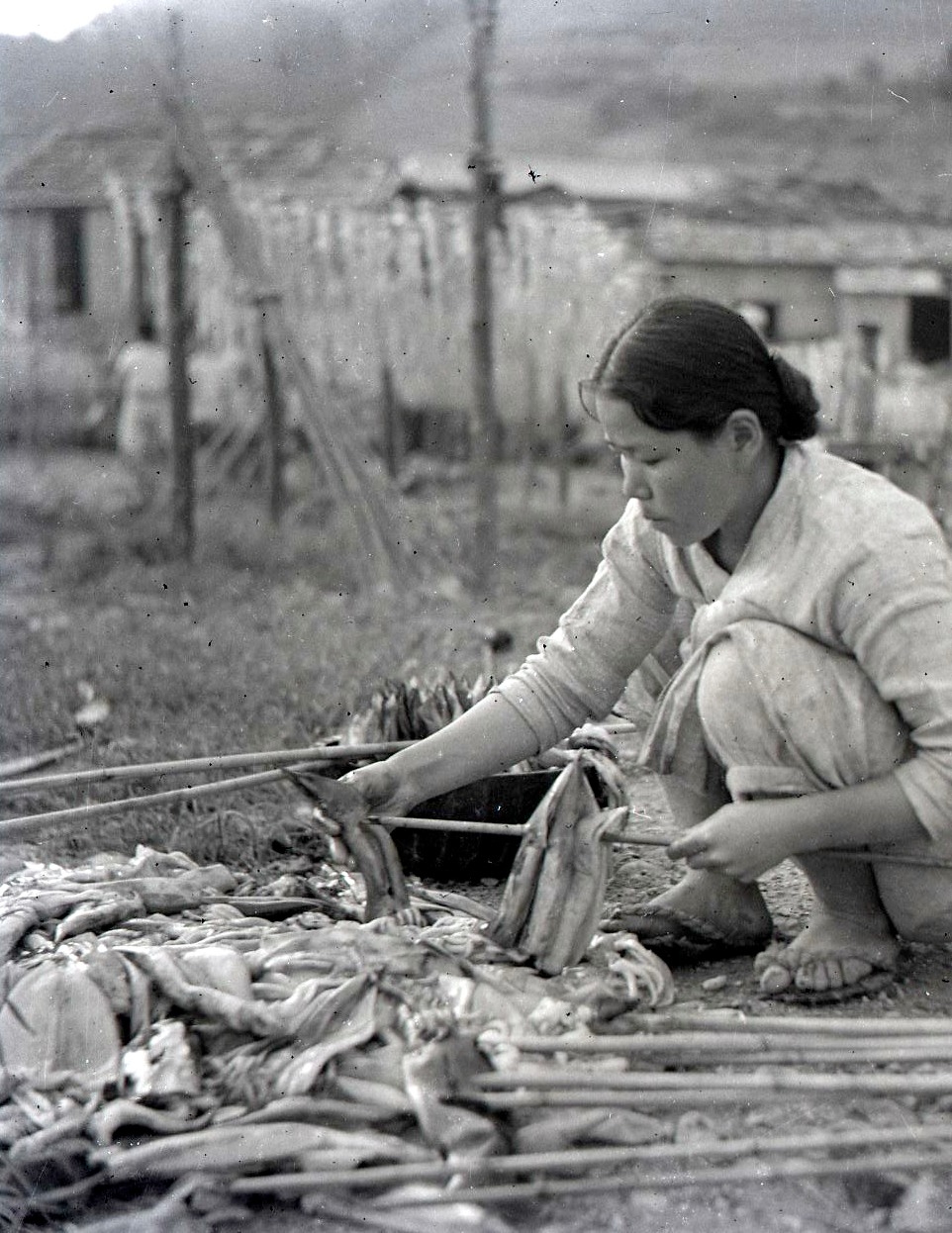 1947_울릉도3.jpg