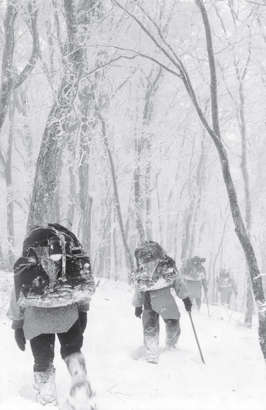 1963년 1월 한라산 개미등 관목지대(부산대 상대 산악부).jpg