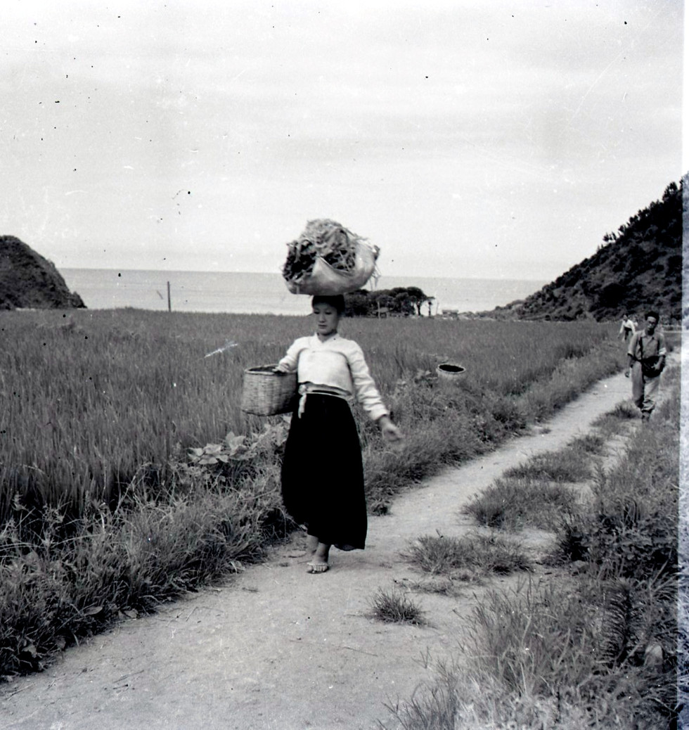 1947_울릉도6.jpg