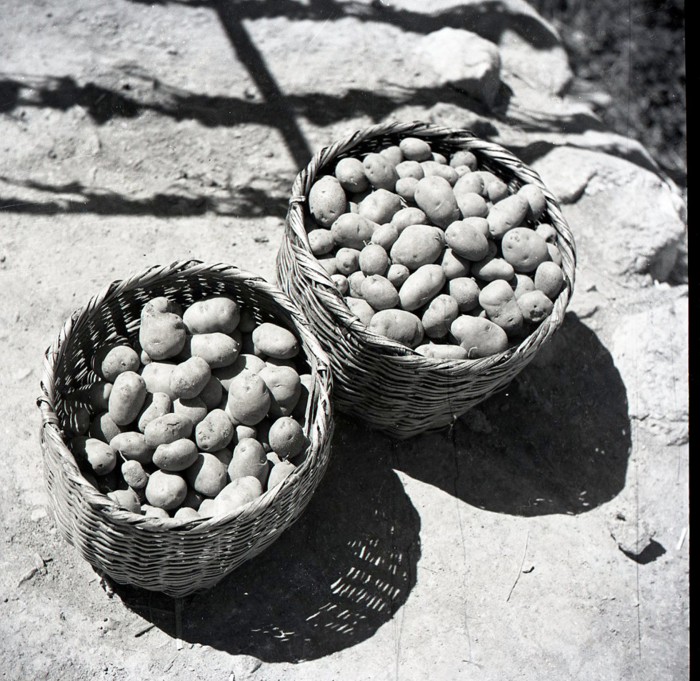 1947_울릉도9.jpg