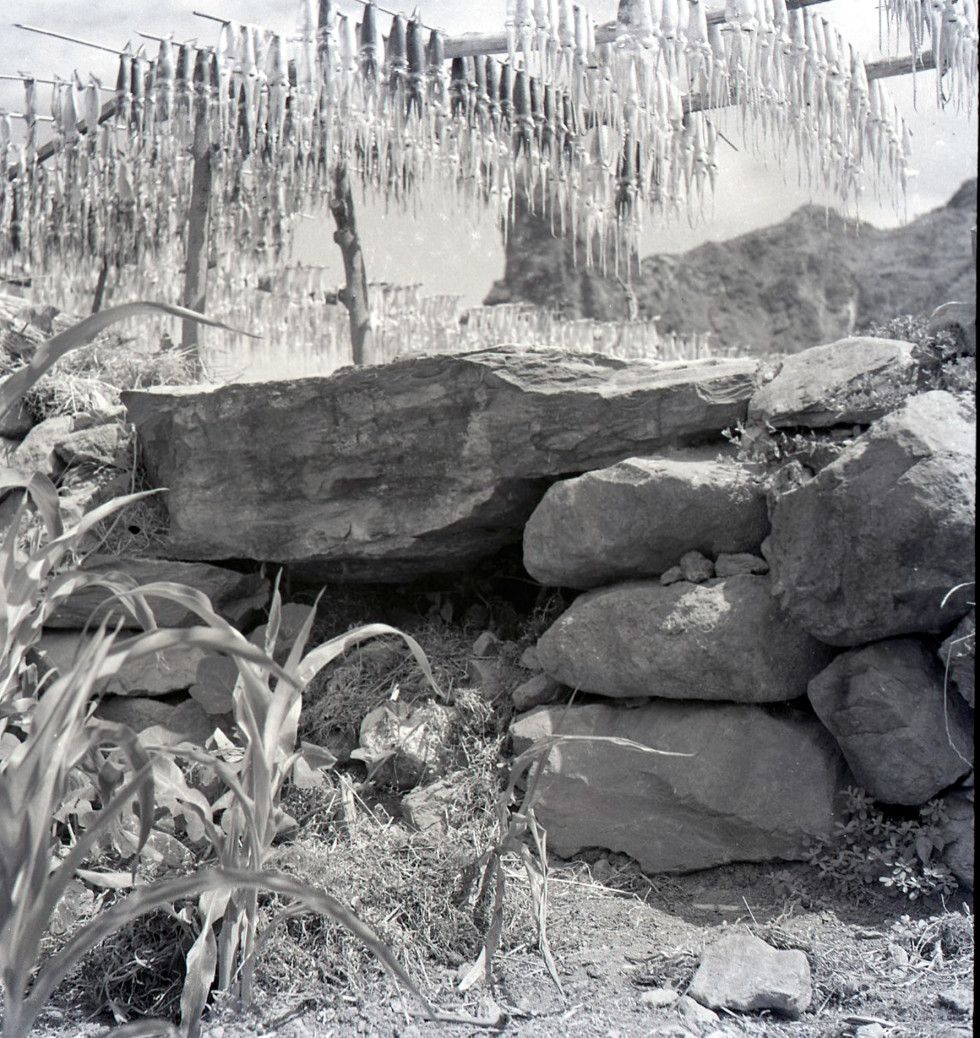 1947_울릉도10.jpg