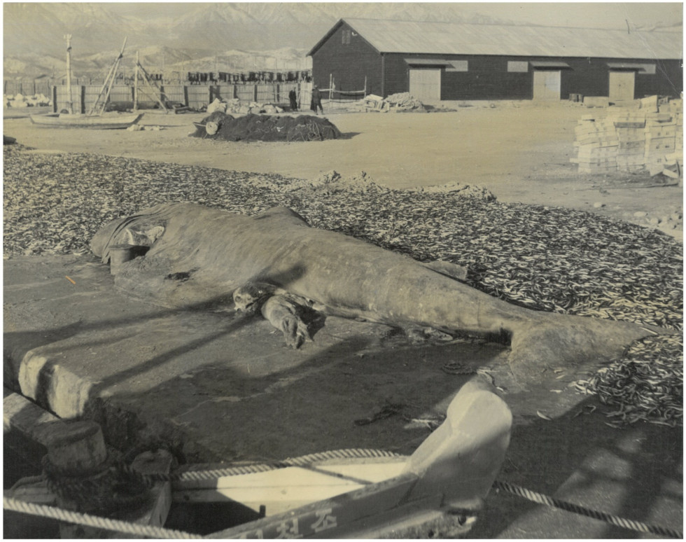 1963 이화여자대학교산악부 두타-청옥산 산행4_1.jpg
