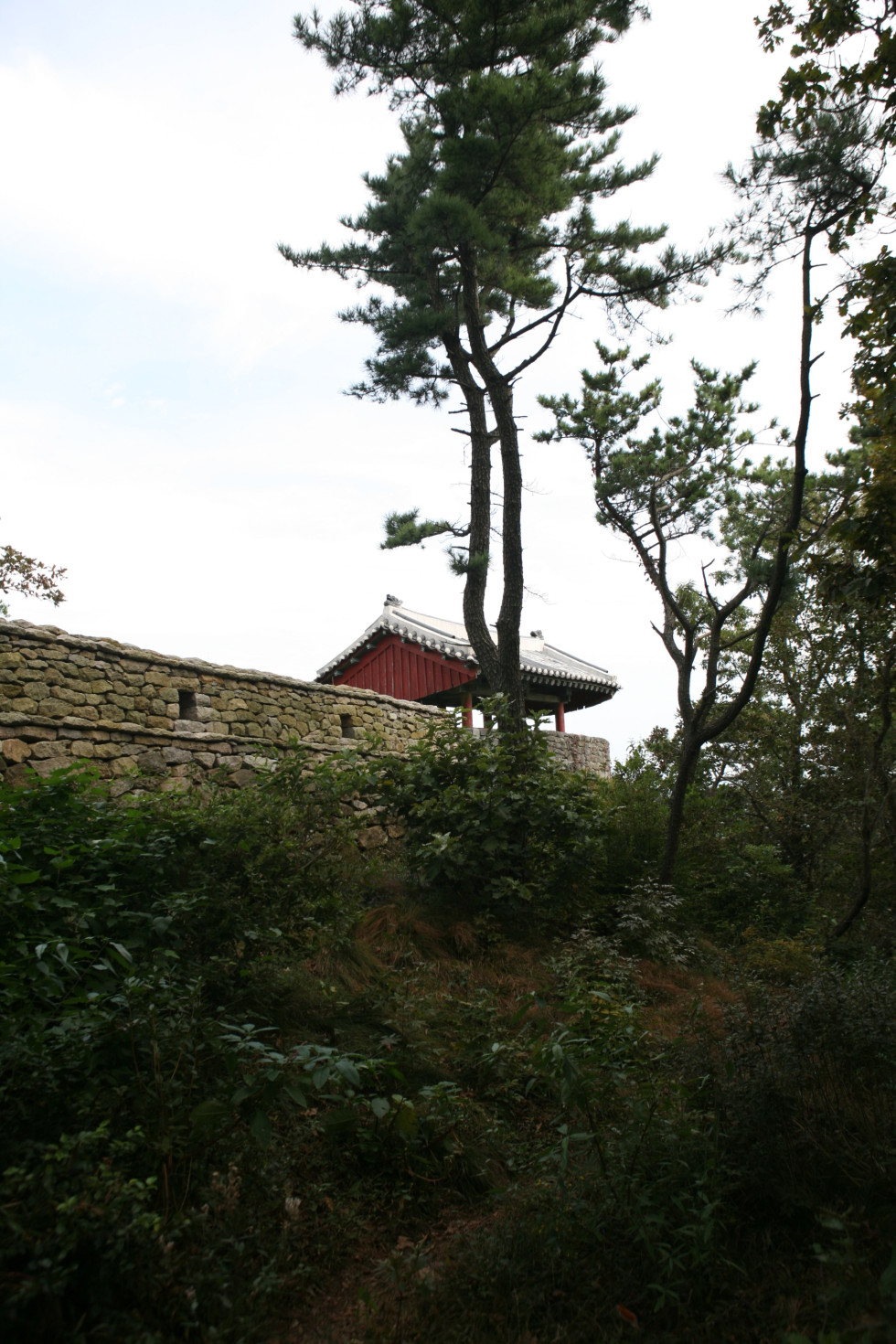 IMG_5502.JPG