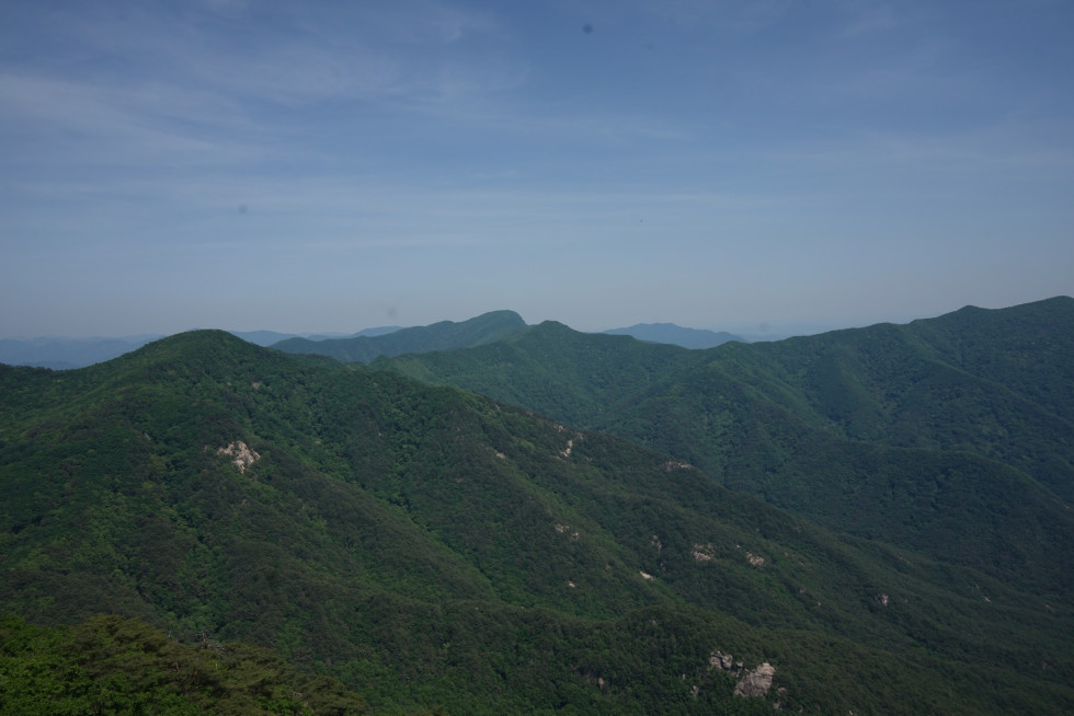 DSC02956.JPG
