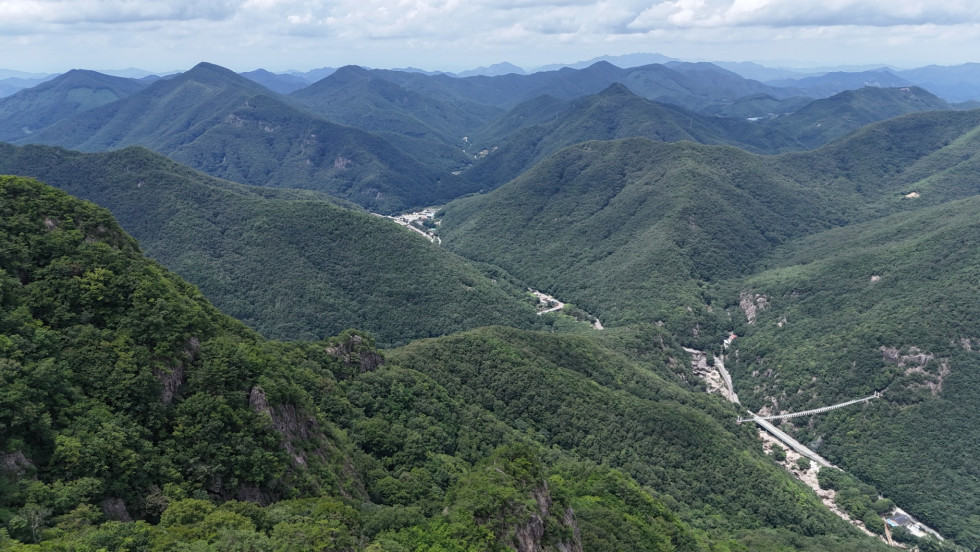 DJI_20260725131451_0321_D.JPG