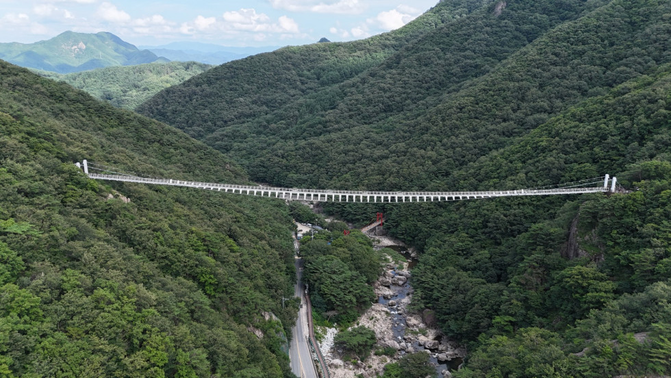 DJI_20260725155917_0335_D.JPG