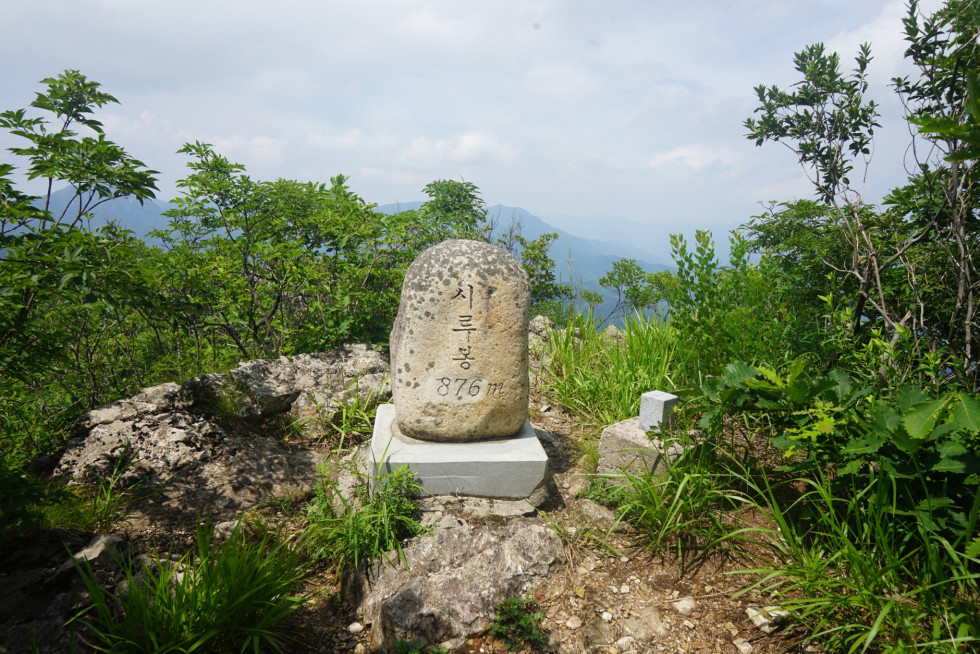 DSC04867.JPG