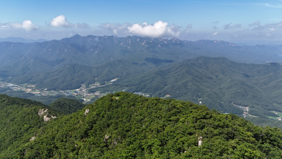 DJI_20260712100523_0012_D.JPG