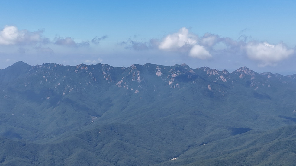 DJI_20260712101051_0061_D.JPG