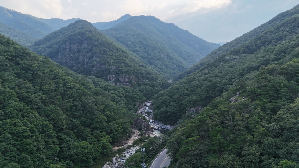 DJI_20260712181514_0093_D.JPG