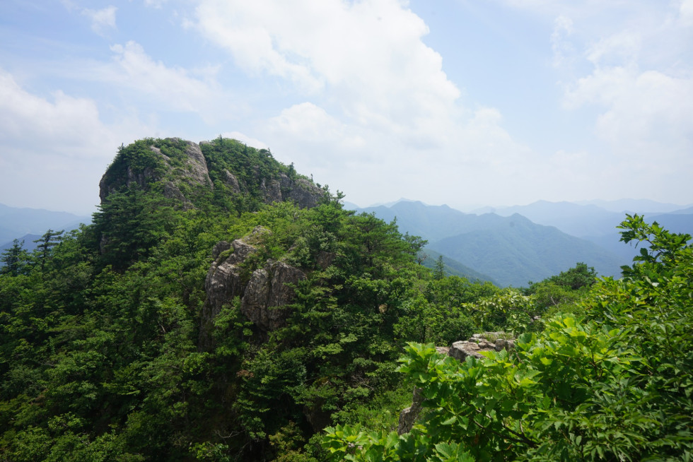 DSC04848.JPG