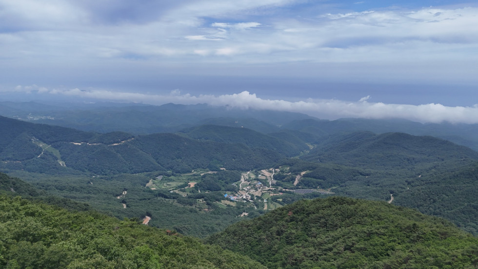 DJI_20260614133310_0111_D.JPG