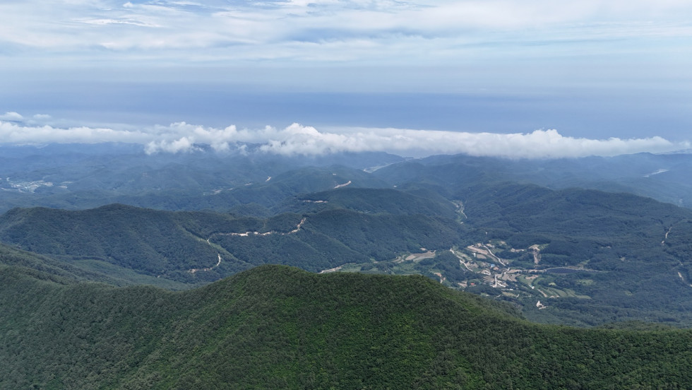 DJI_20260614134130_0136_D.JPG