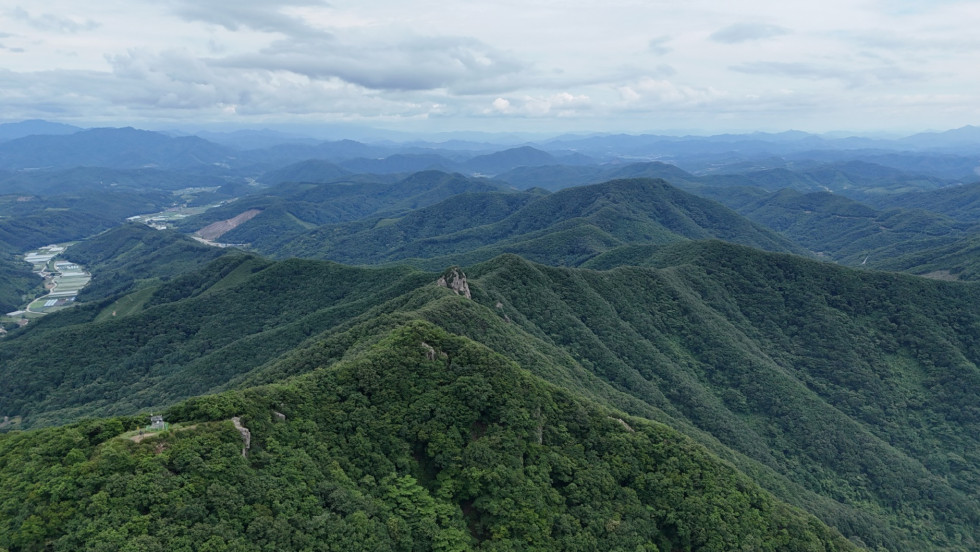 DJI_20260621154353_0234_D.JPG
