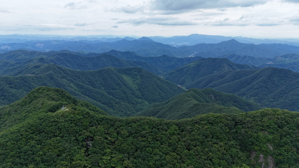 DJI_20260621154559_0239_D.JPG