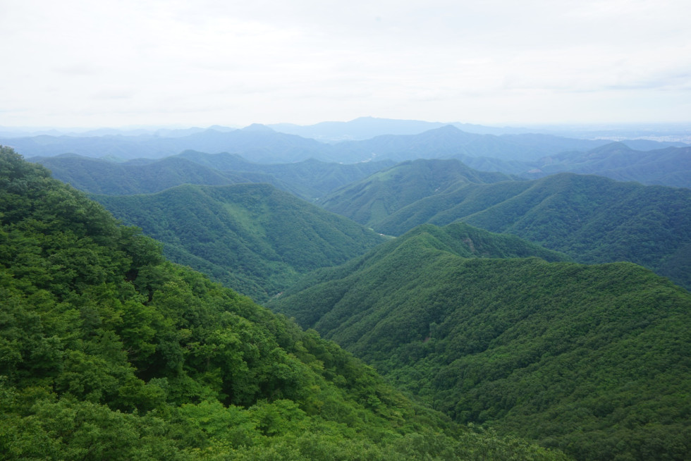 DSC04515.JPG