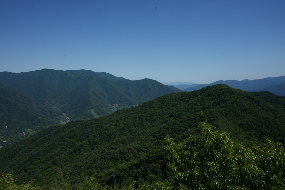 DSC03551.JPG