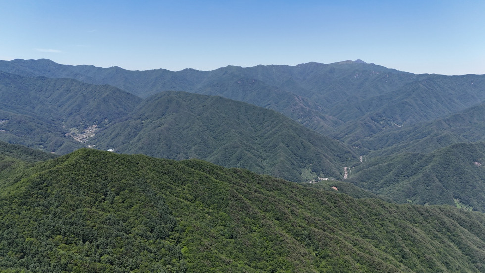 DJI_20260531134547_0021_D.JPG