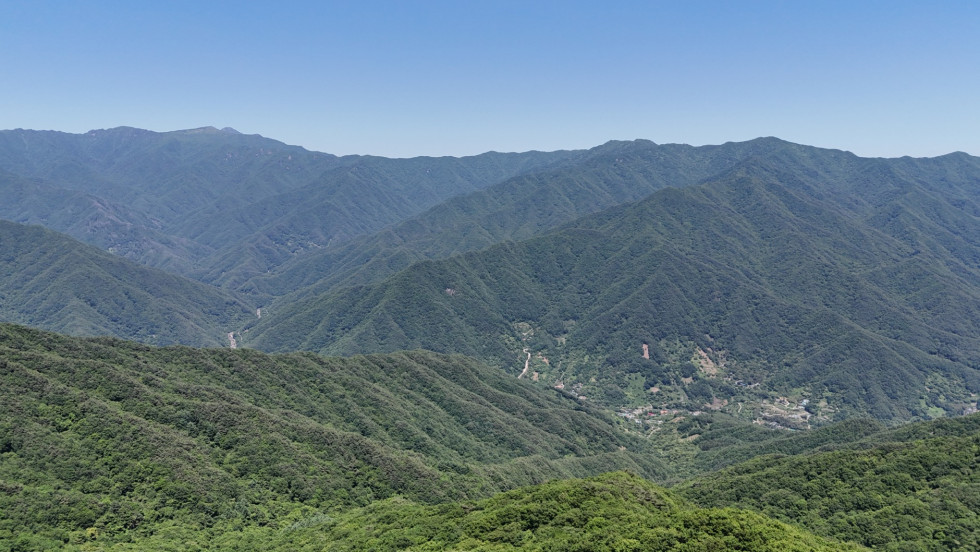 DJI_20260531134244_0001_D.JPG