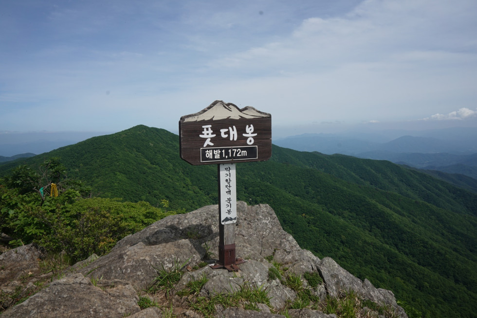 DSC03397.JPG