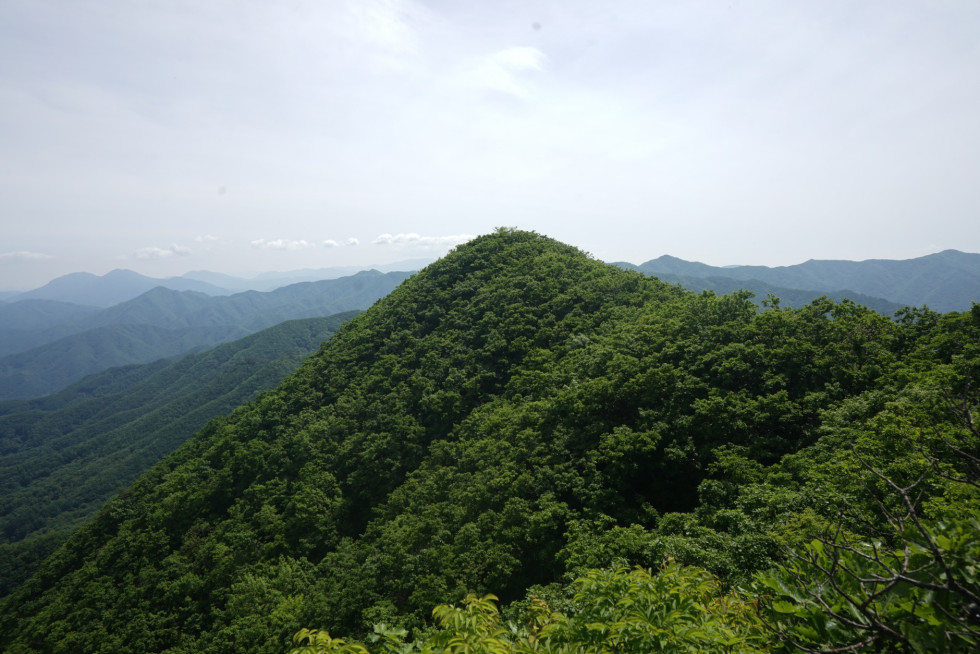 DSC03395.JPG