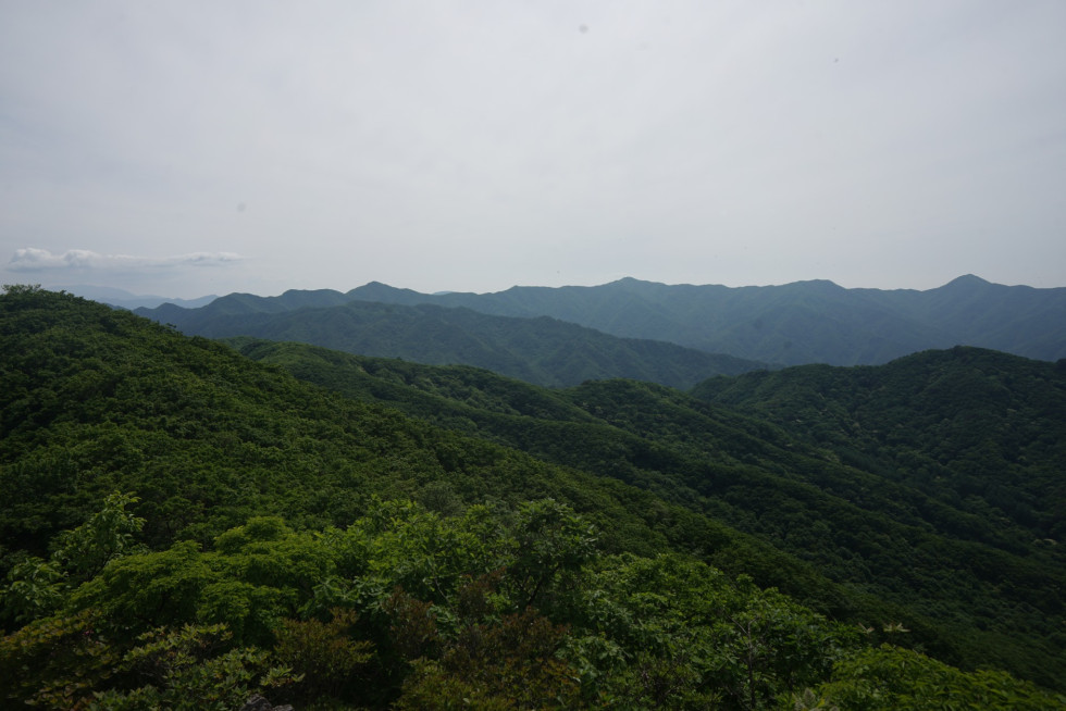 DSC03401.JPG