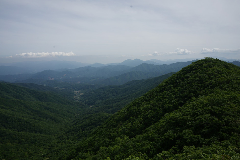 DSC03403.JPG