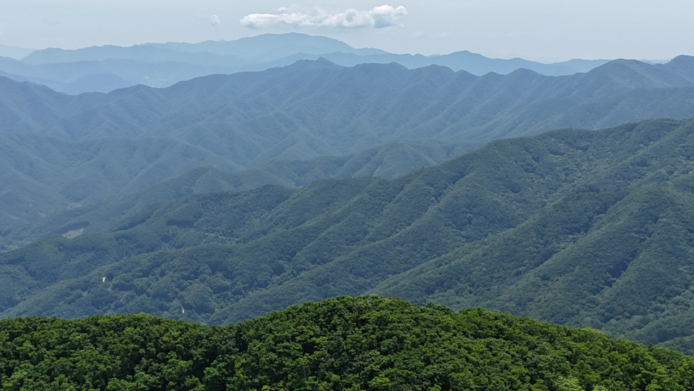 DJI_20260524133251_0086_D.JPG