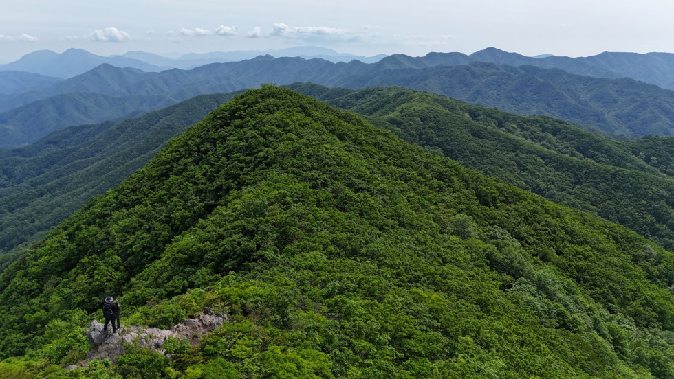 DJI_20260524150014_0118_D.JPG