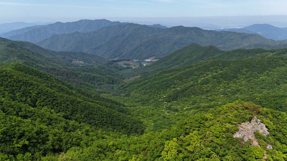 DJI_20260524150331_0147_D.JPG