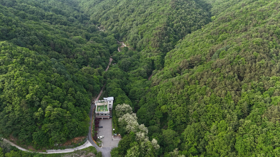 DJI_20260524174538_0168_D.JPG