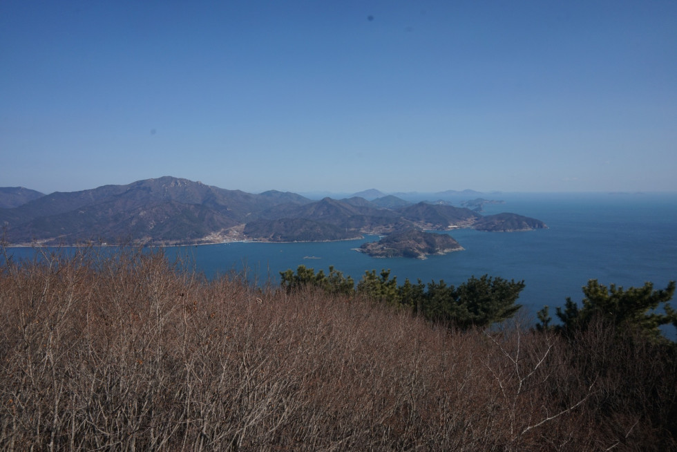 DSC01171.JPG