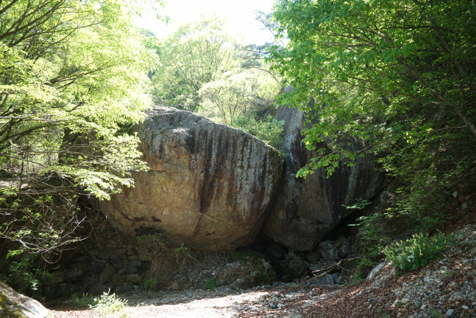 DSC02106.JPG