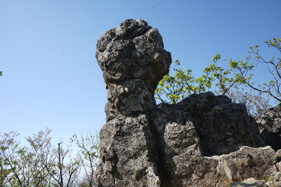 DSC02183.JPG