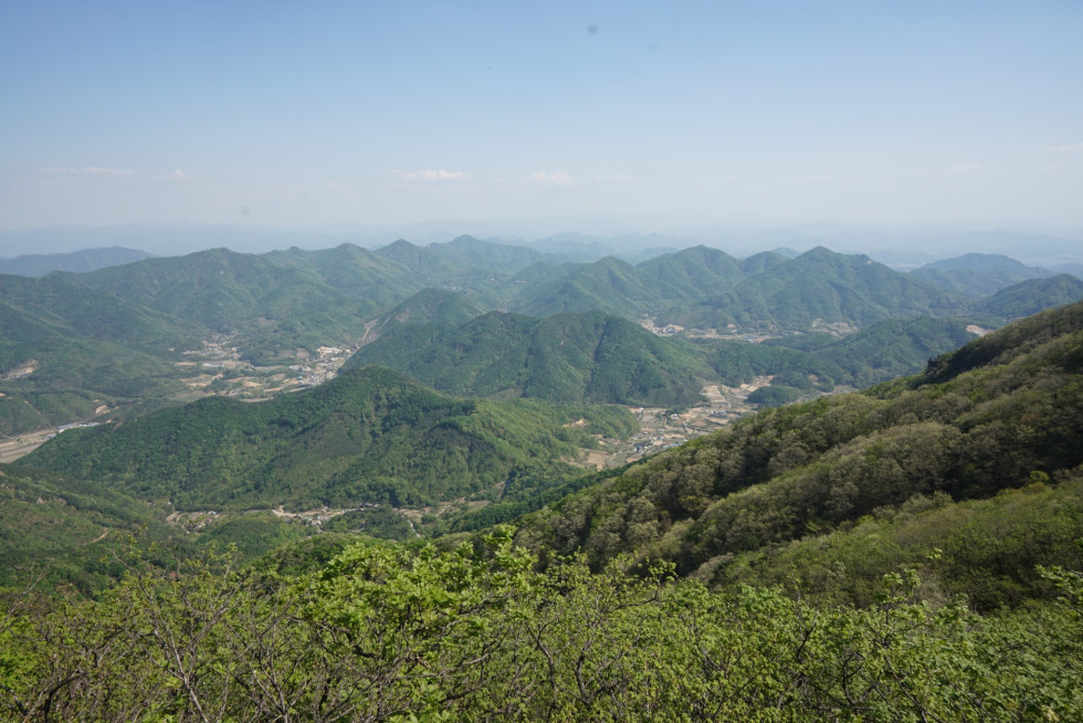 DSC02173.JPG