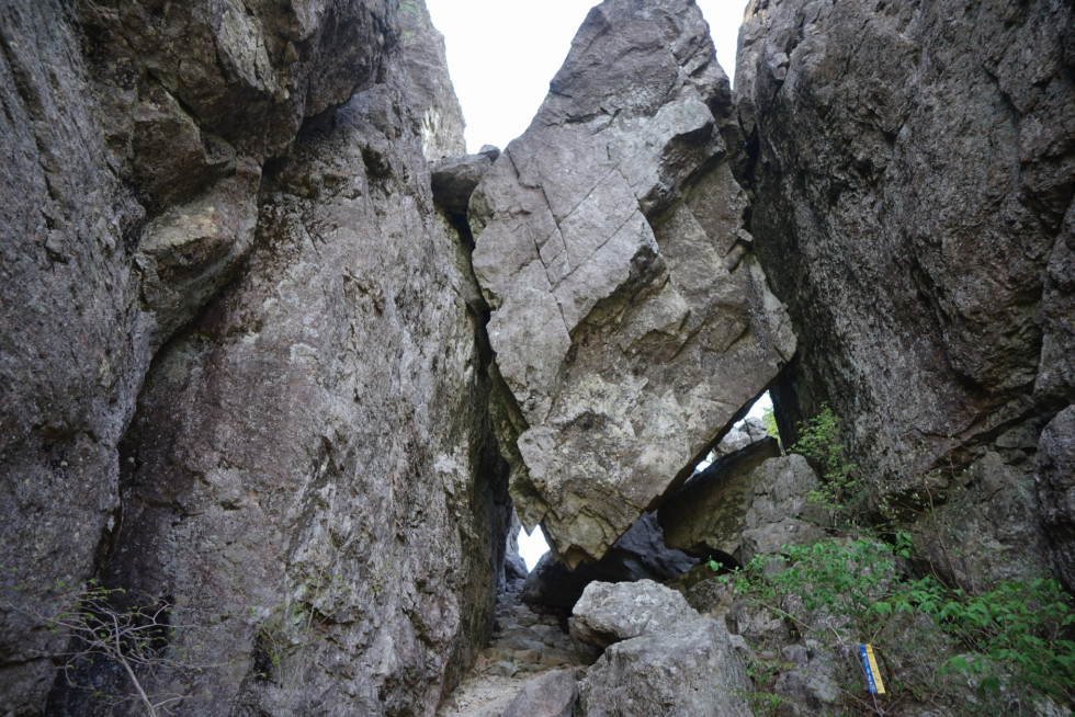DSC02208.JPG