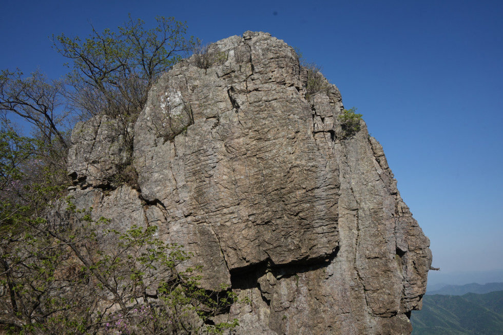 DSC02214.JPG