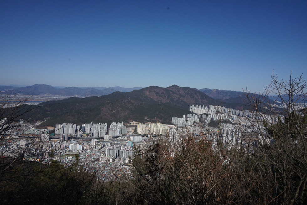 DSC00988.JPG