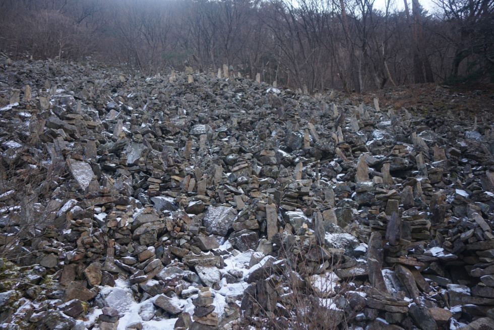 DSC00712.JPG