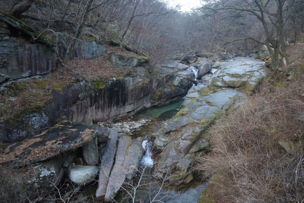 DSC00774.JPG