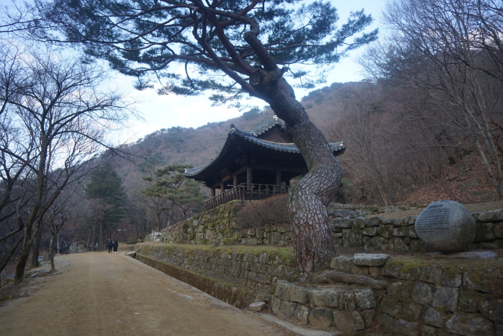DSC00778.JPG