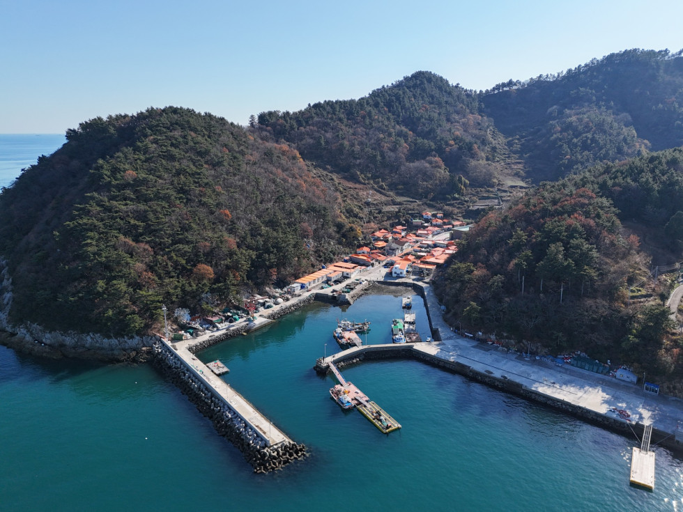 DJI_20251206135006_0755_D.JPG