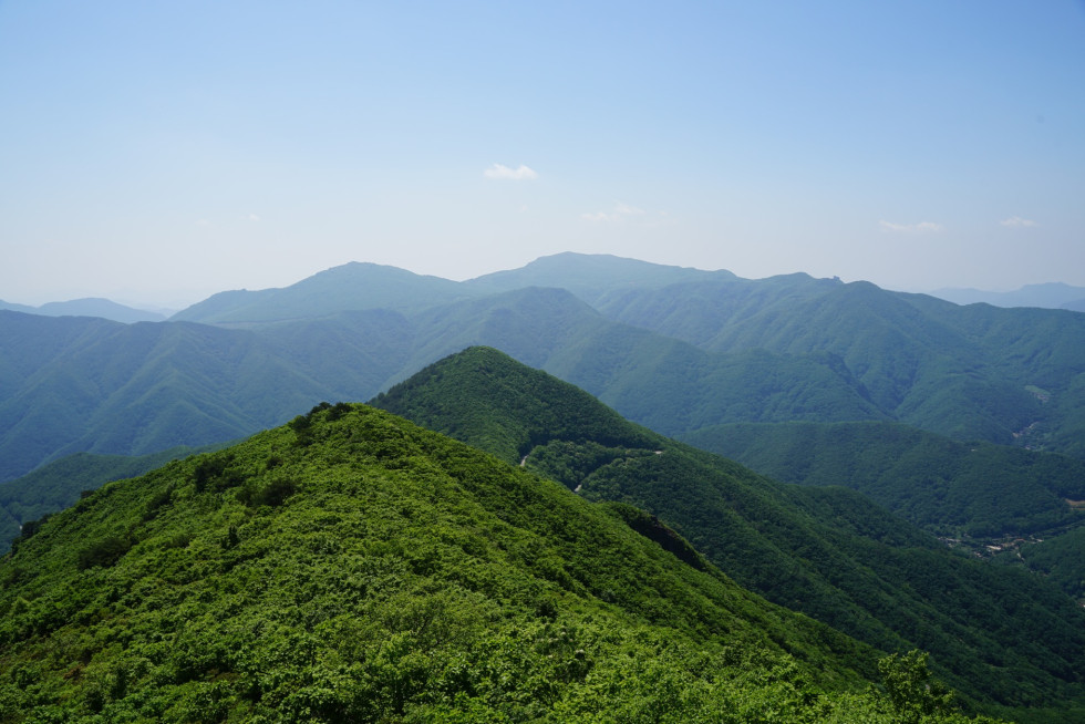 DSC07879.JPG