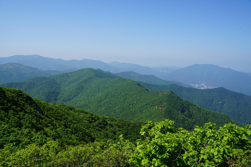 DSC07935.JPG