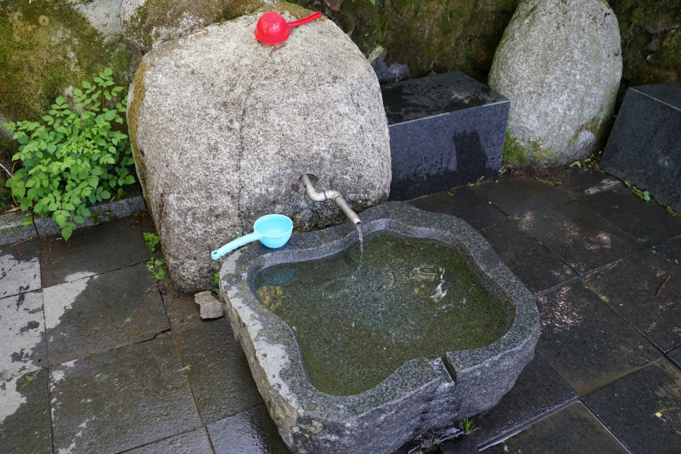 DSC08006.JPG