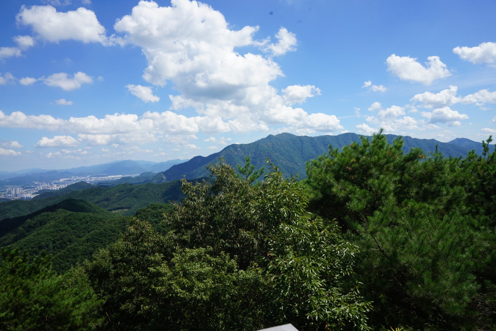 DSC08537.JPG