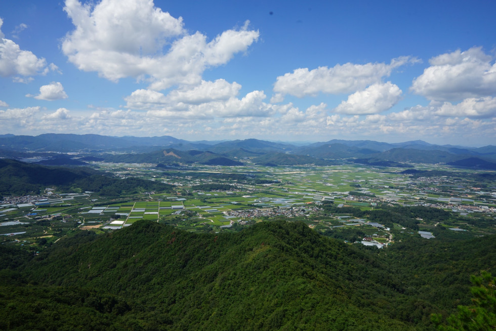 DSC08541.JPG