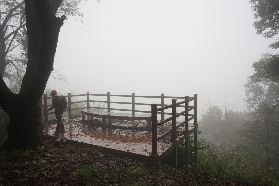 DSC09696.JPG