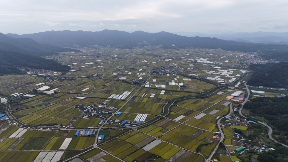 DJI_20251019155731_0350_D.JPG