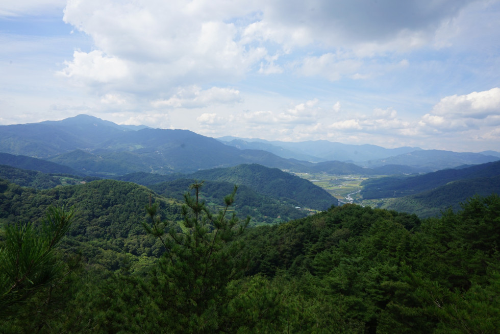 DSC00987.JPG